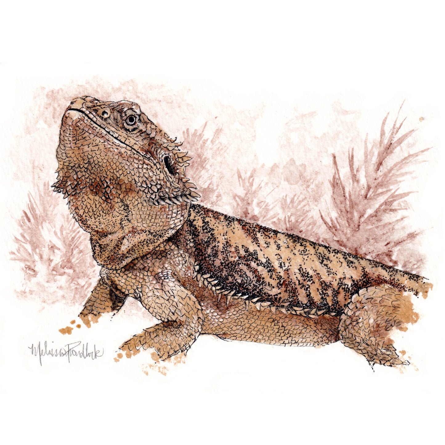 5x7 Pet Portraits