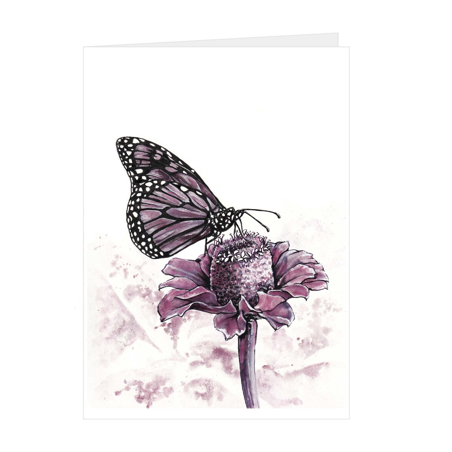 Butterfly ~ Monarch