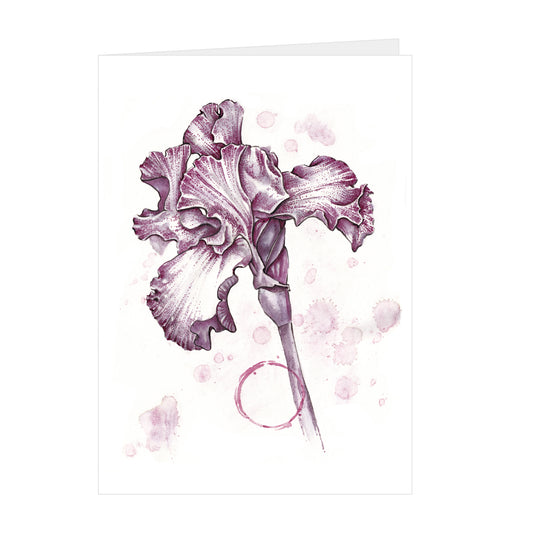 Flower - Iris