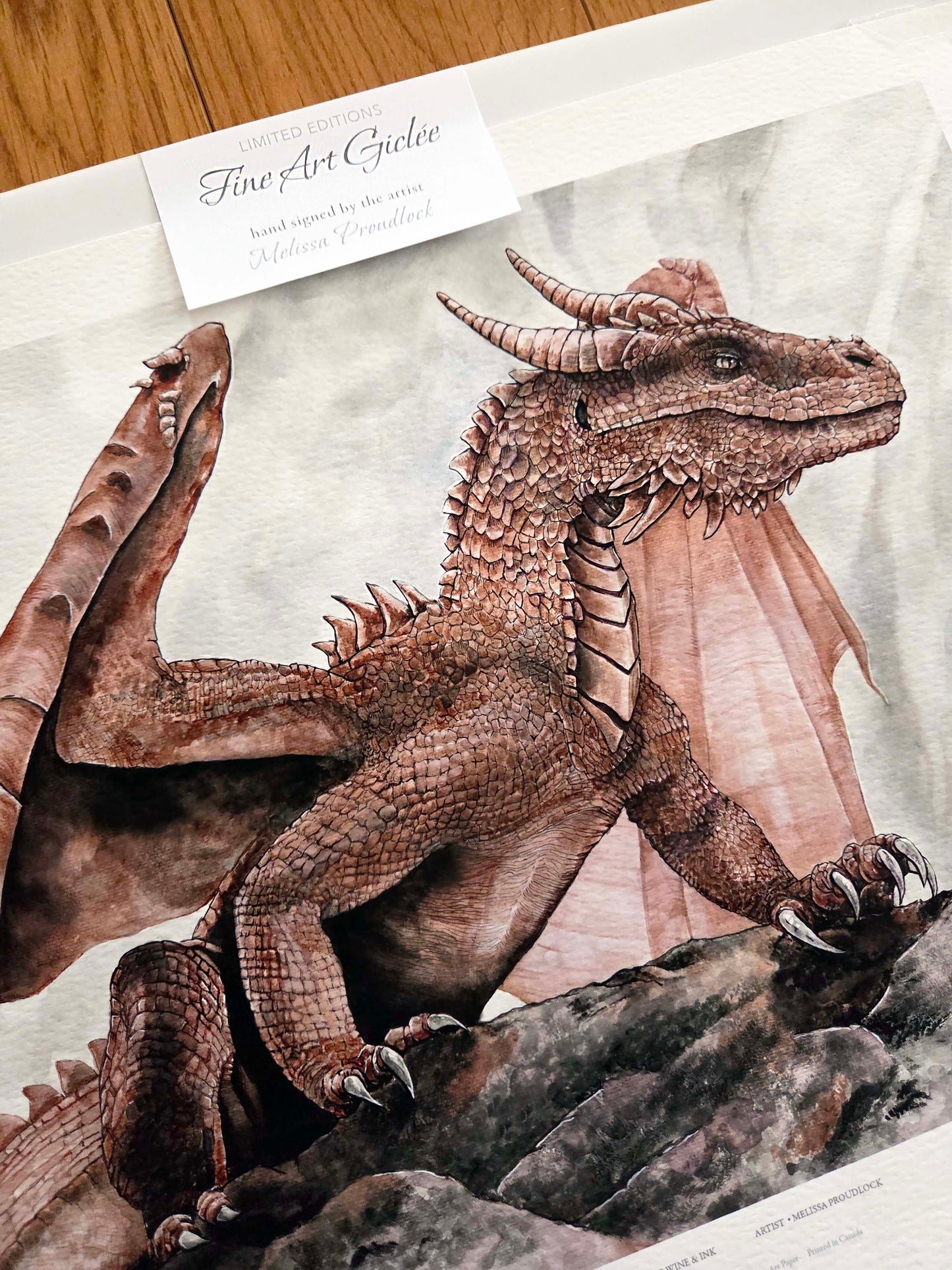 The Observant Dragon