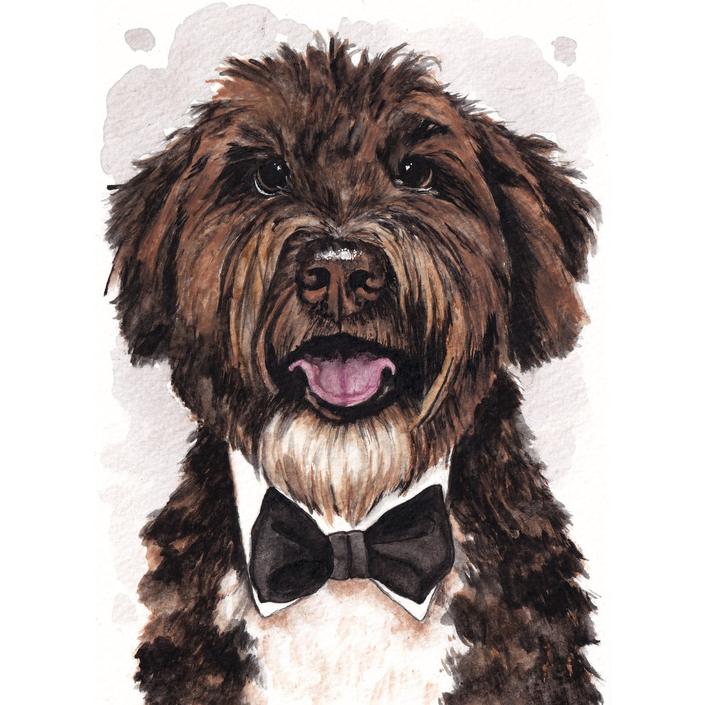 5x7 Pet Portraits