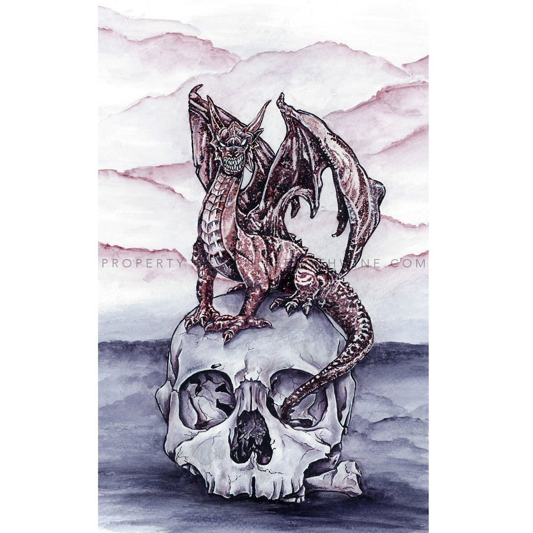 Dragon on Skull