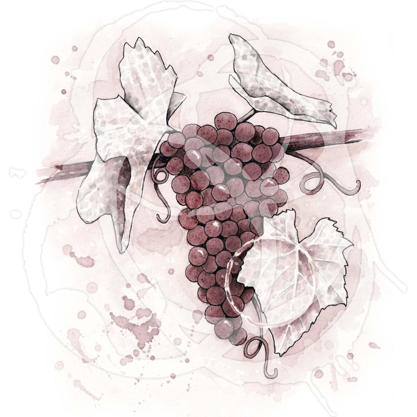 Grape Cluster