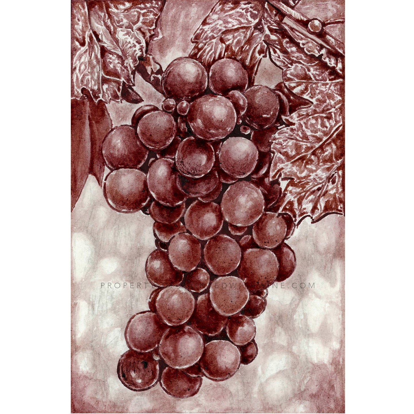 Grapes