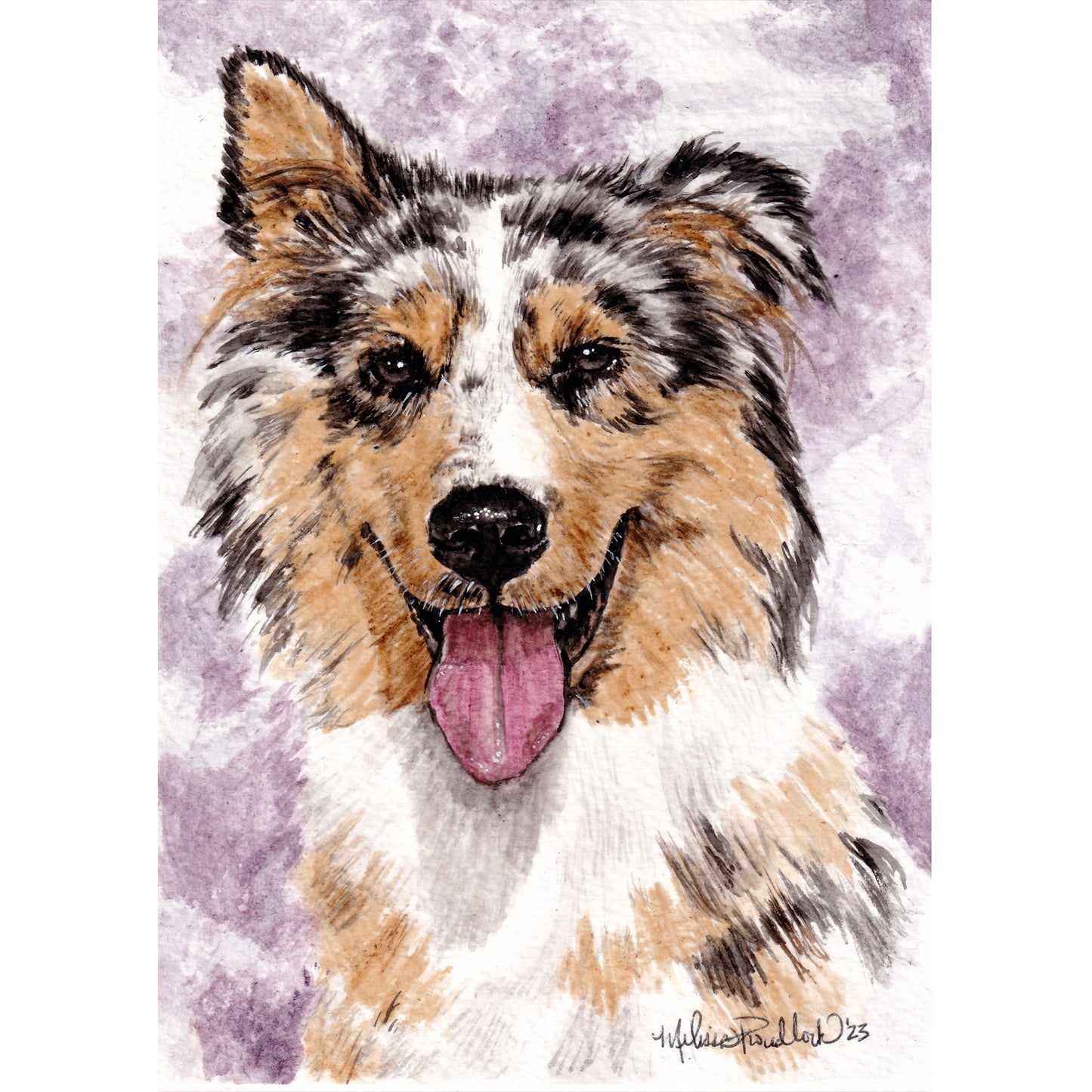 5x7 Pet Portraits
