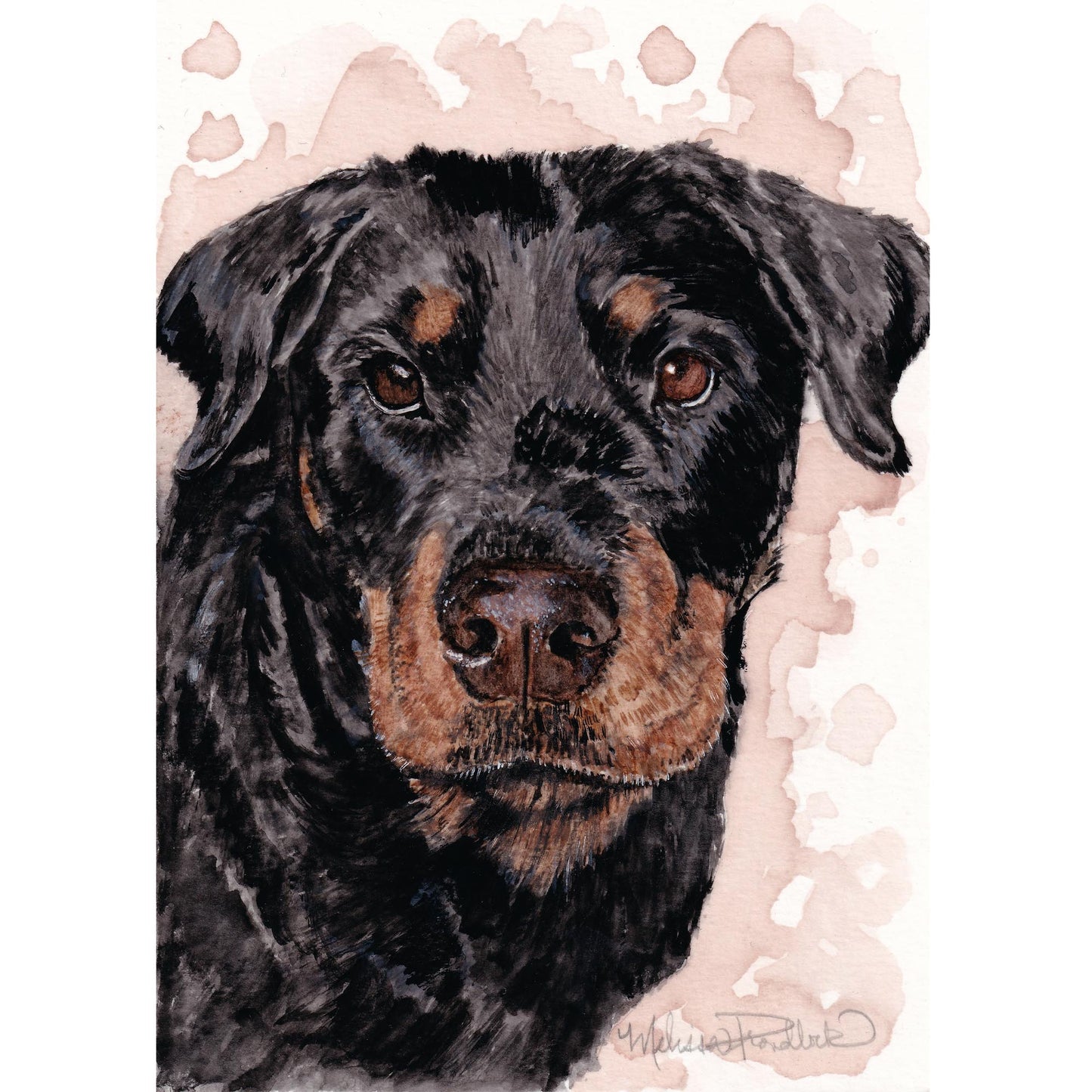 5x7 Pet Portraits
