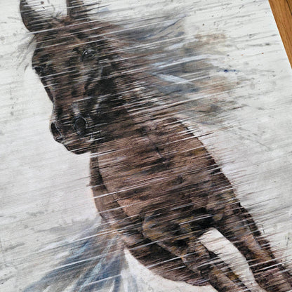Horse In Motion Canvas Print