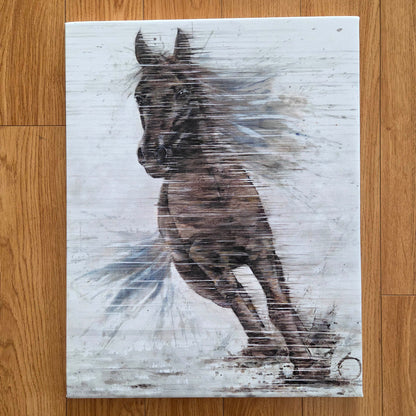 Horse In Motion Canvas Print