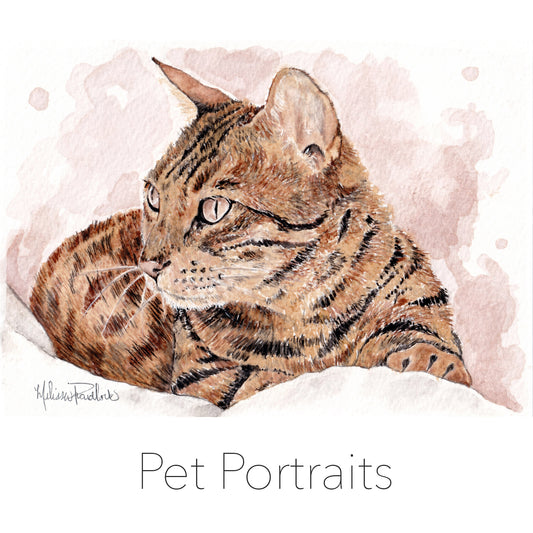 5x7 Pet Portraits