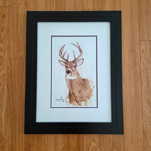 White Tailed Deer - Original